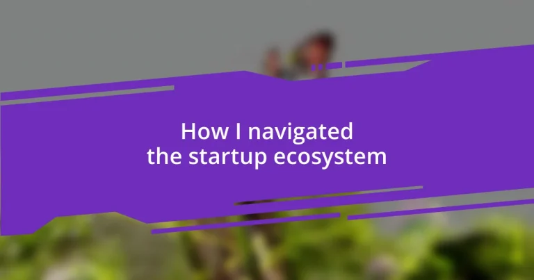 How I navigated the startup ecosystem