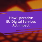 How I perceive EU Digital Services Act impact