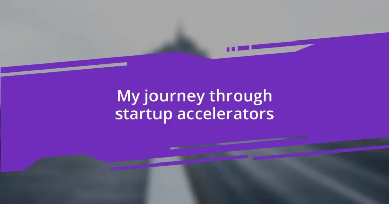 My journey through startup accelerators